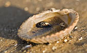 En liten bit strand - foto av Eva Bucksch